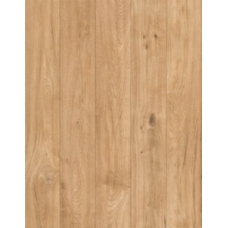 40863 Дуб Аверо