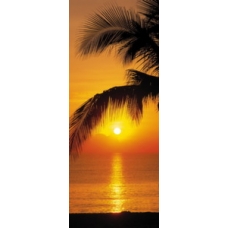 Фотообои Komar Doors Palmy Beach Sunrise