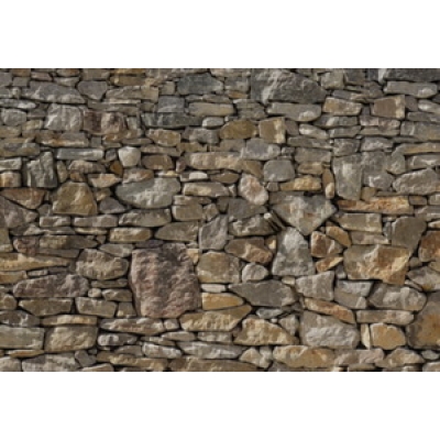 Фотообои Komar Scenics Stone Wall 8NW-727