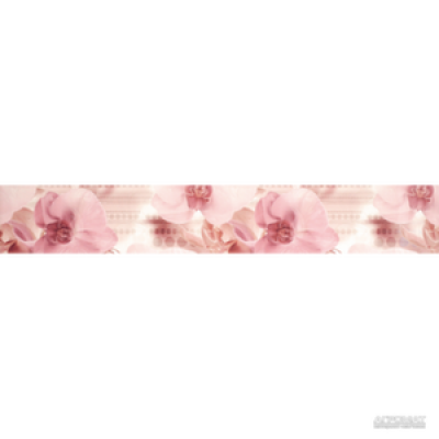 Elisabeta Brown 311193 Elisabeta Brown 311193