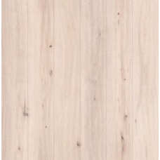 40865 Клен Гренада