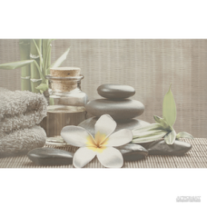 Декор OLIVIA GREY SPA1