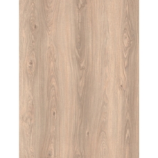 26342 Дуб Кастелл 26342 Дуб Кастелл