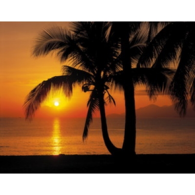 Фотообои Komar Scenics Palmy Beach Sunrise